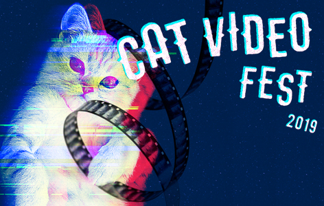 Image result for cat video fest