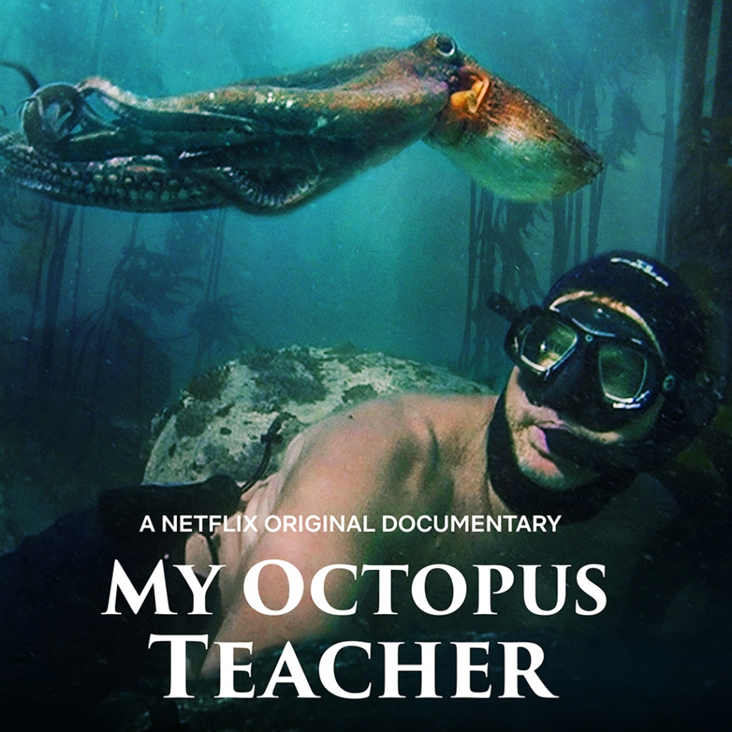 MY OCTOPUS TEACHER – SMITH RAFAEL FILM CENTER