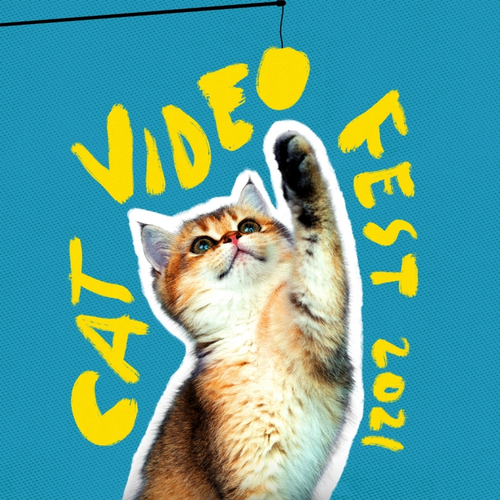 CAT VIDEO FESTIVAL 2021 SMITH RAFAEL FILM CENTER