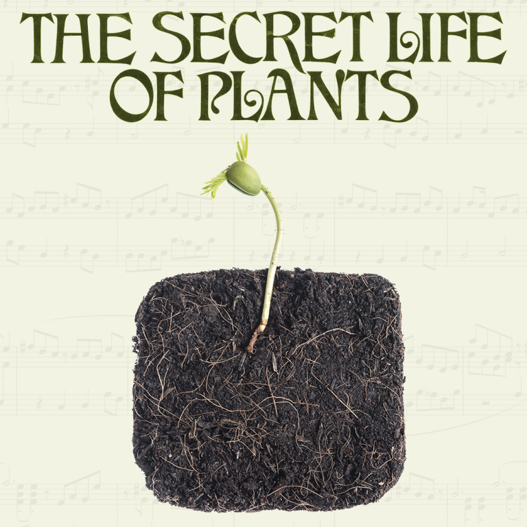 THE SECRET LIFE OF PLANTS SMITH RAFAEL FILM CENTER