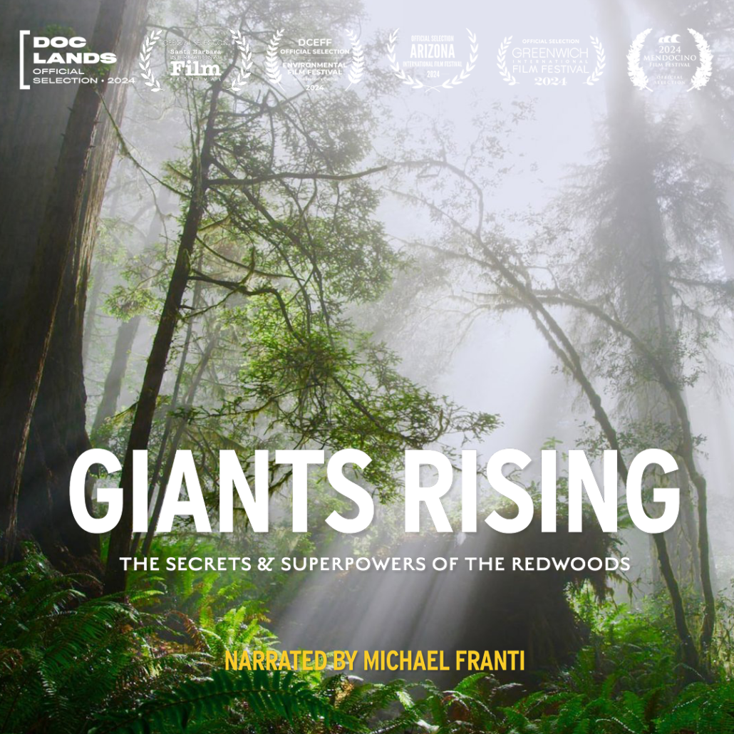 GIANTS RISING – SMITH RAFAEL FILM CENTER