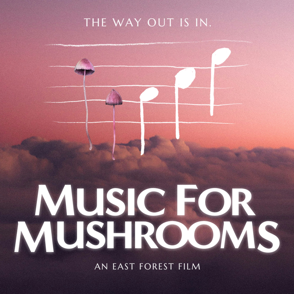 MUSIC FOR MUSHROOMS – SMITH RAFAEL FILM CENTER
